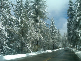 Clic para aumentar fresno nieve