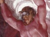 Clic para aumentar dios capilla sixtina