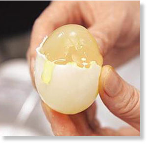 Huevos de goma1