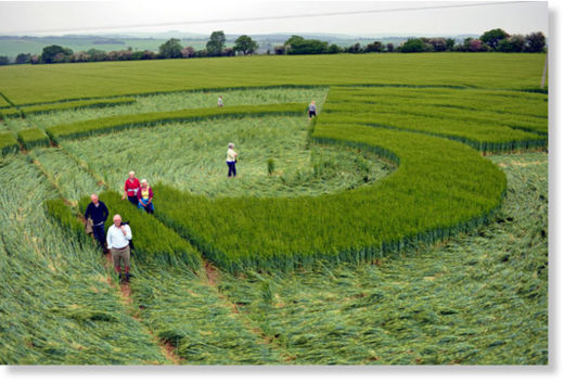 círculo de las cosechas en Inglaterra8
