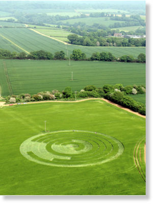 círculo de las cosechas en Inglaterra16
