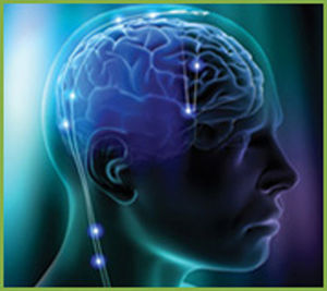cerebro pide descansar
