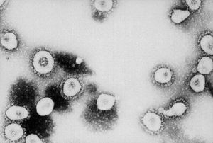Coronavirus Novel
