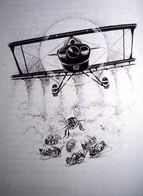 fumugación_mata_abejas
