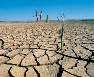 sequía españa