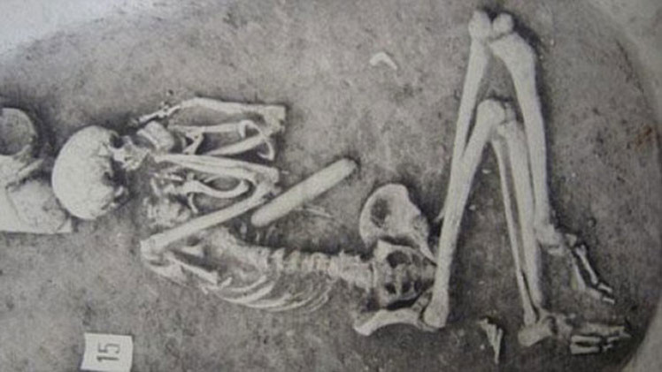 esqueleto bones huesos 