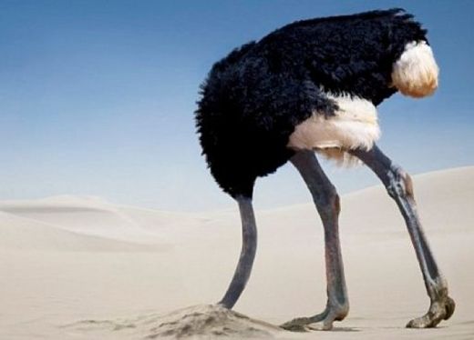 avestruz enterrar cabeza