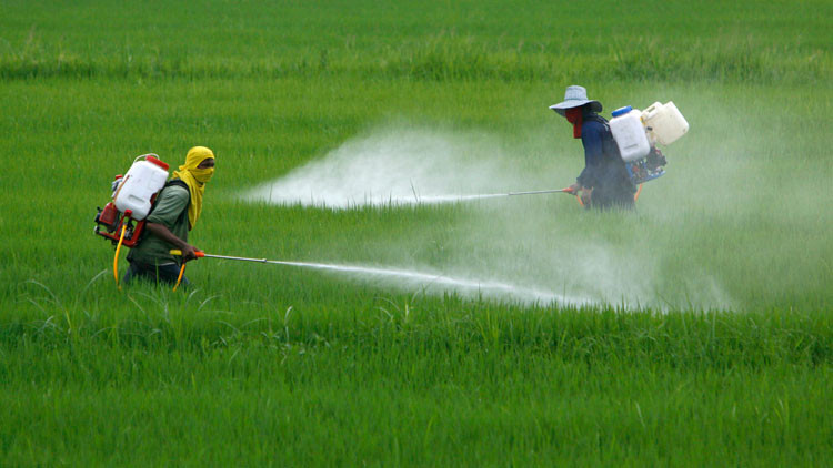 pesticida pesticides