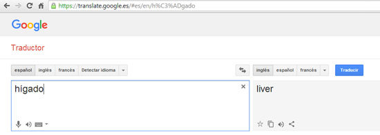 translate google
