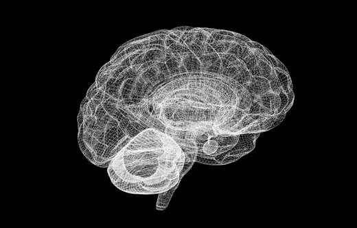 cerebro modelado ordenador