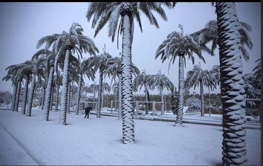 Nieve en Arabia Saudita