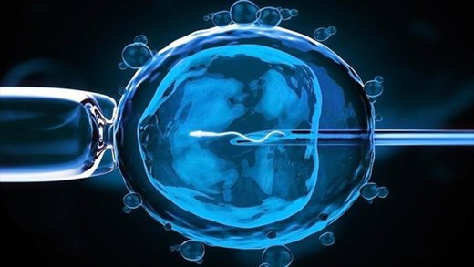 modificacion genetica embriones