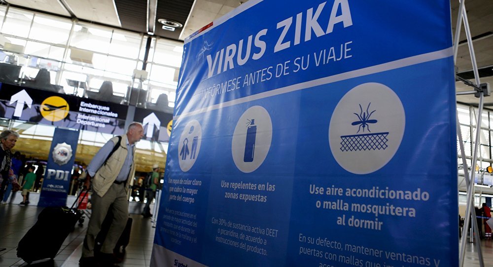 zika virus brasil 
