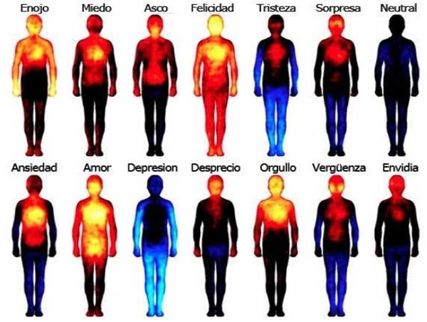 mapa emociones en el cuerpo 