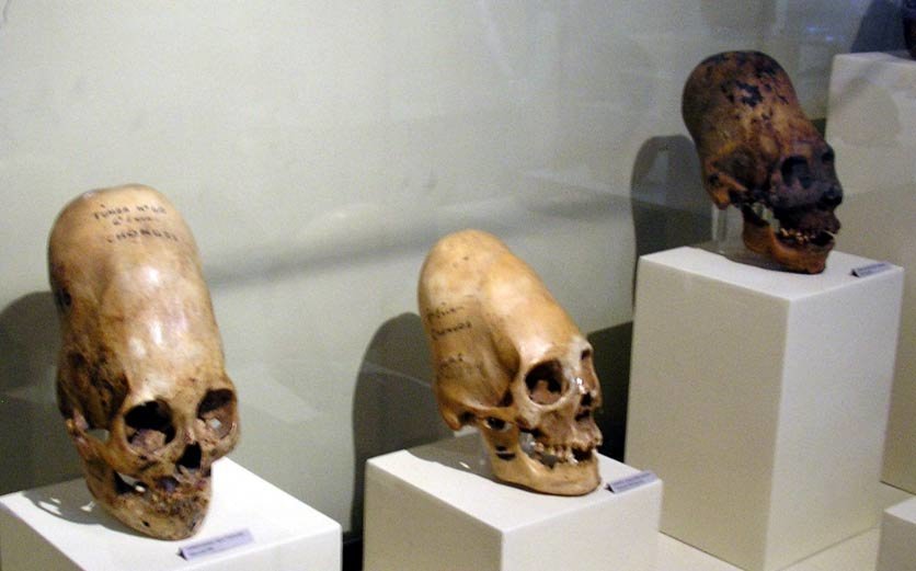 Cráneos elongados perú