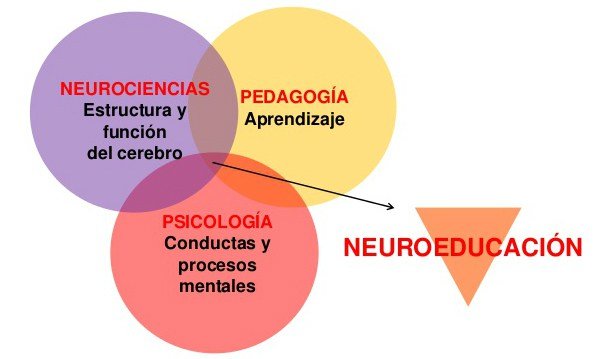 neuroeducación