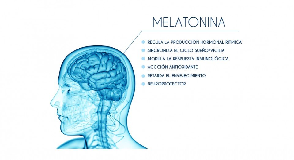melatonina 