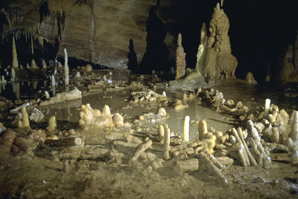 neandertales cueva bruniquel