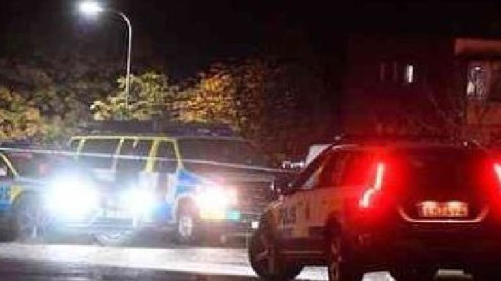 La Policía sueca ha acordonado la zona del tiroteo en la ciudad sueca de Trelleborg