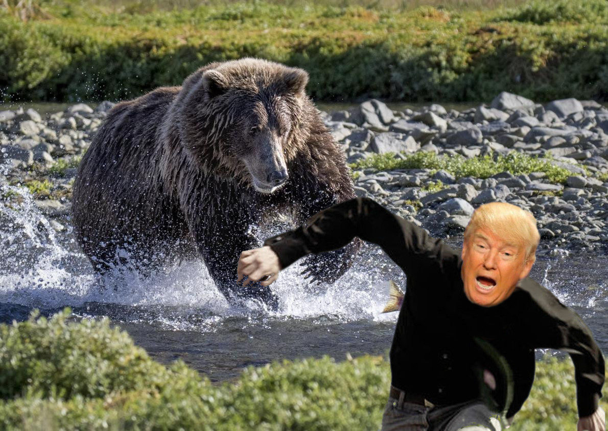bear vs trump
