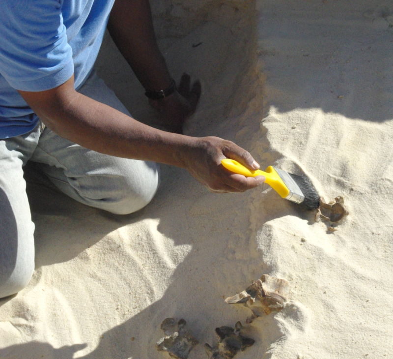 herramientas de piedra de 300000 años de antigüedad en Arabia Saudita