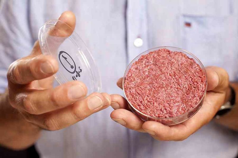 carne producida en laboratorio