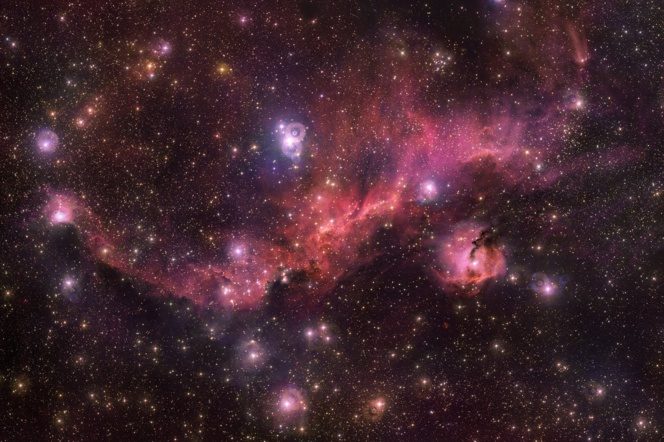 La nebulosa de La Gaviota