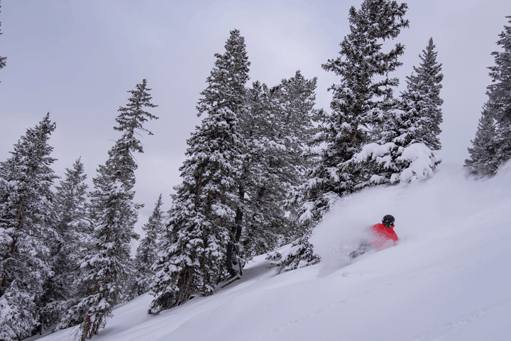 Laying it over in the fresh powder in Aspen on December 9 after 30cms overnight.