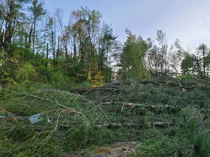 Trees downed in Schaghticoke, N.Y., during last week's derecho