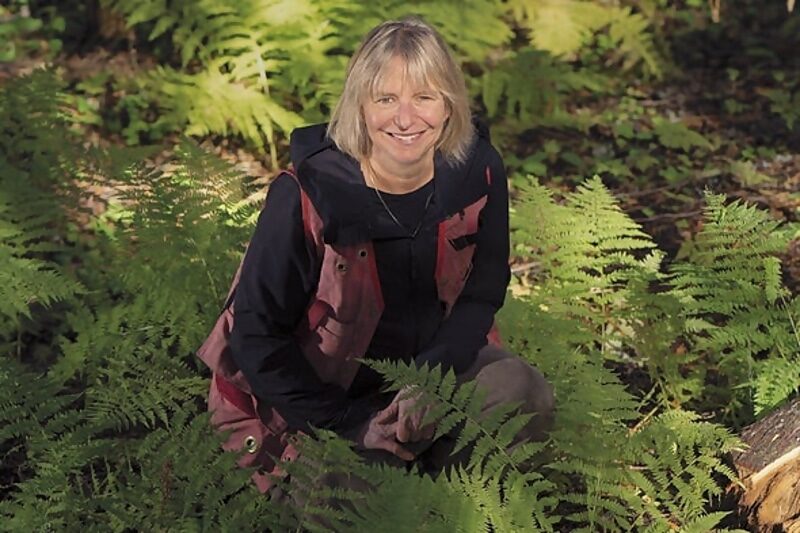 Clic para aumentar Suzanne Simard mother trees book