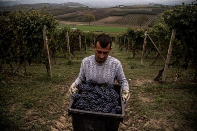 Italy’s wine production dropped by nine percent