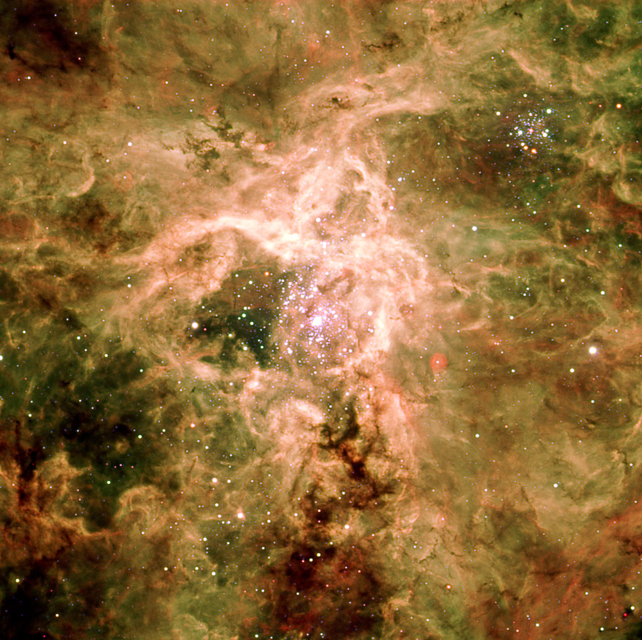 nebulosa Tarántula2
