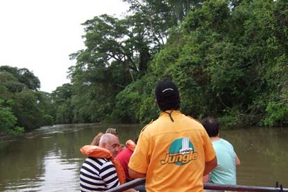 Iguazú Jungle2