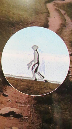 alien transparente2