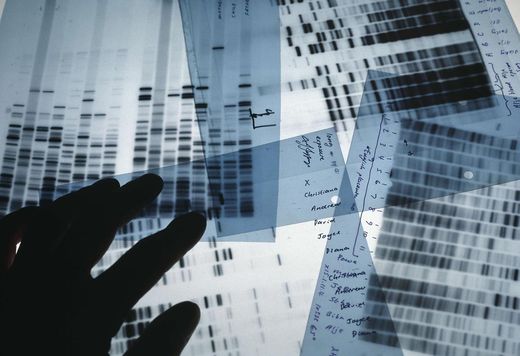 robar el genoma