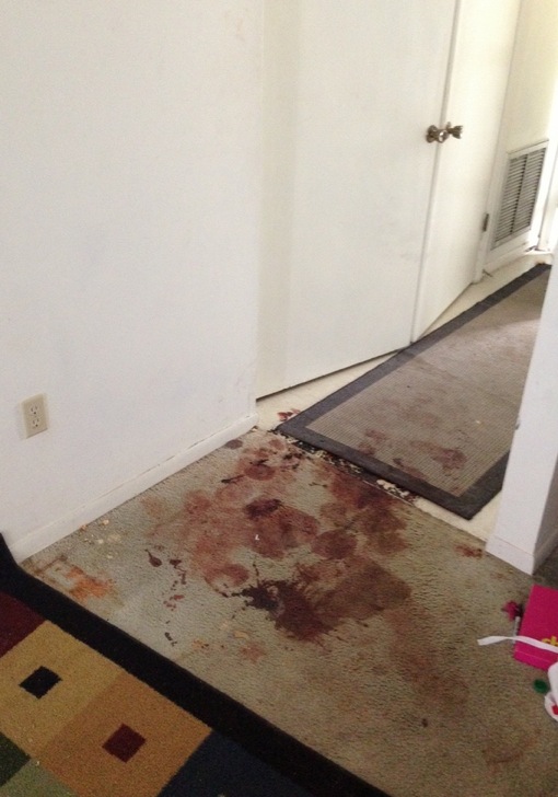Todashev apartment bloodstains