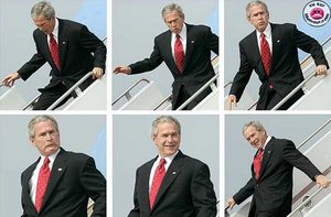 Bush_avion