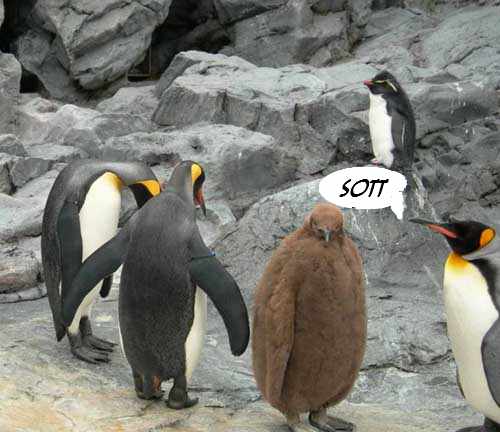 Clic para aumentar sott_4