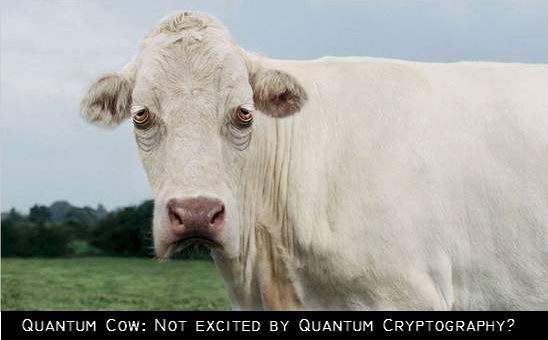 Quantum_cow