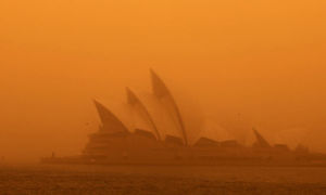 dust storm disease