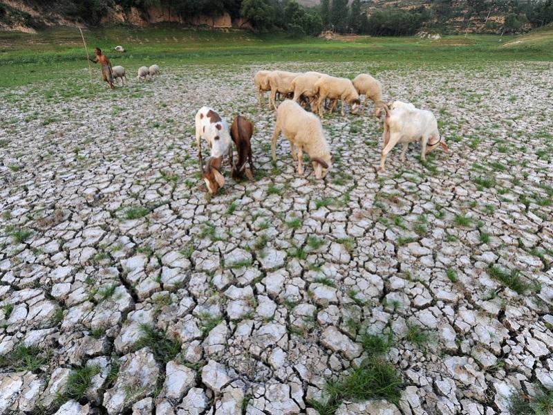 sequía guatemala