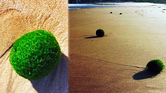bolas_verdes_playa_australia