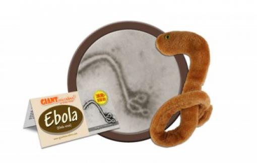 peluche_ébola