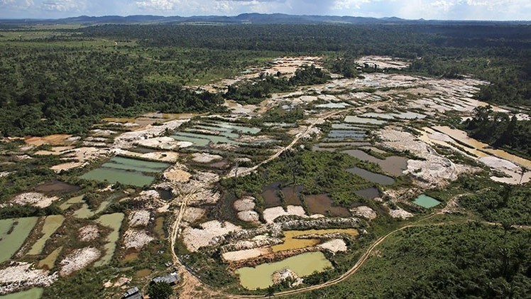 fiebre oro deforestacion
