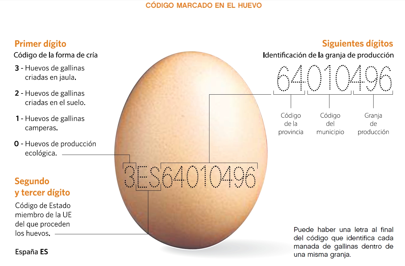 código_etiqueta_huevos_europa