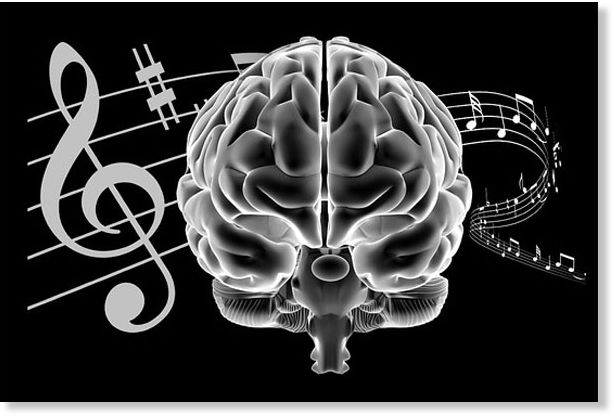 Cerebro musico
