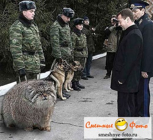 Clic para aumentar Russian Army