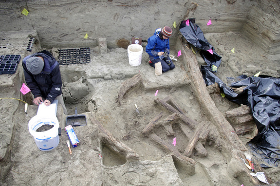 Excavación arquelogica Asia