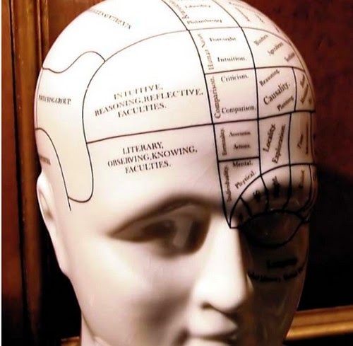 Áreas cerebrales