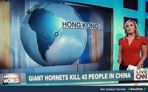 Clic para aumentar Hornets